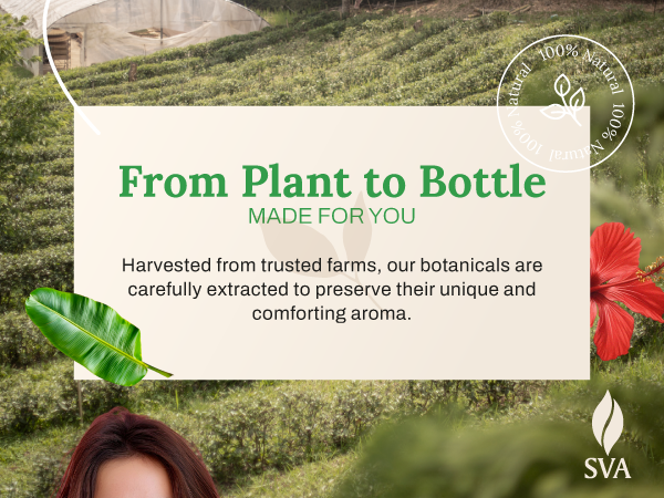SVA pure and natural bundle pack of oils are suitable for everyday care