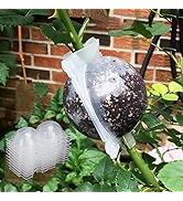 Yuecoom 10Pcs Plant Rooting Device, 2 inch Reusable Plant Growing Box High Pressure Propagation B...