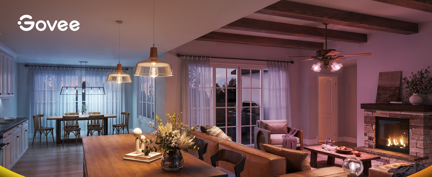 Govee smart edison bulbs ST19