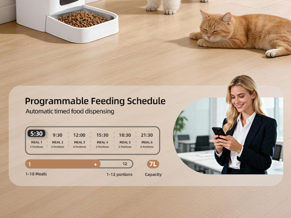 cat feeder automatic