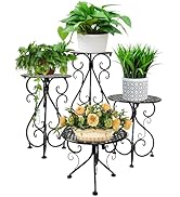 NAKUPE 4-Pack Metal Plant Stand for Indoor Outdoor, Heavy Duty Flower Pot Stands for Multiple Pla...