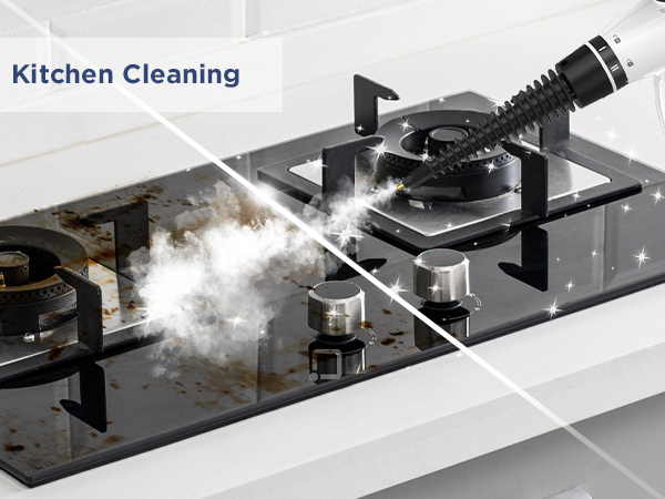 steam cleaner labigo