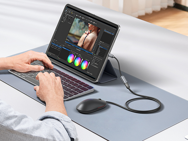 USB C to USB Adapter 12