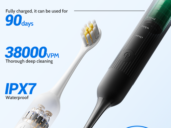 Electric Toothbrush