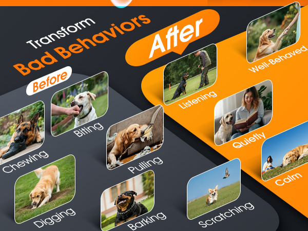 ultrasonic bark deterrent