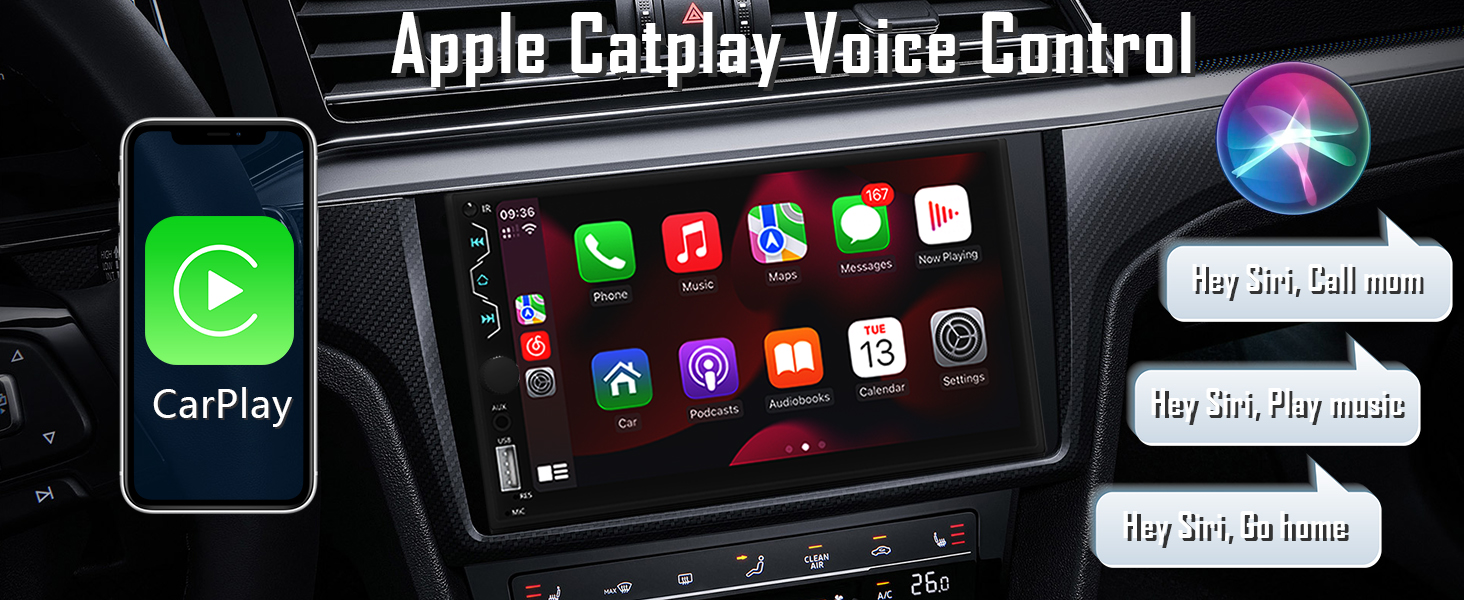 carplay voice