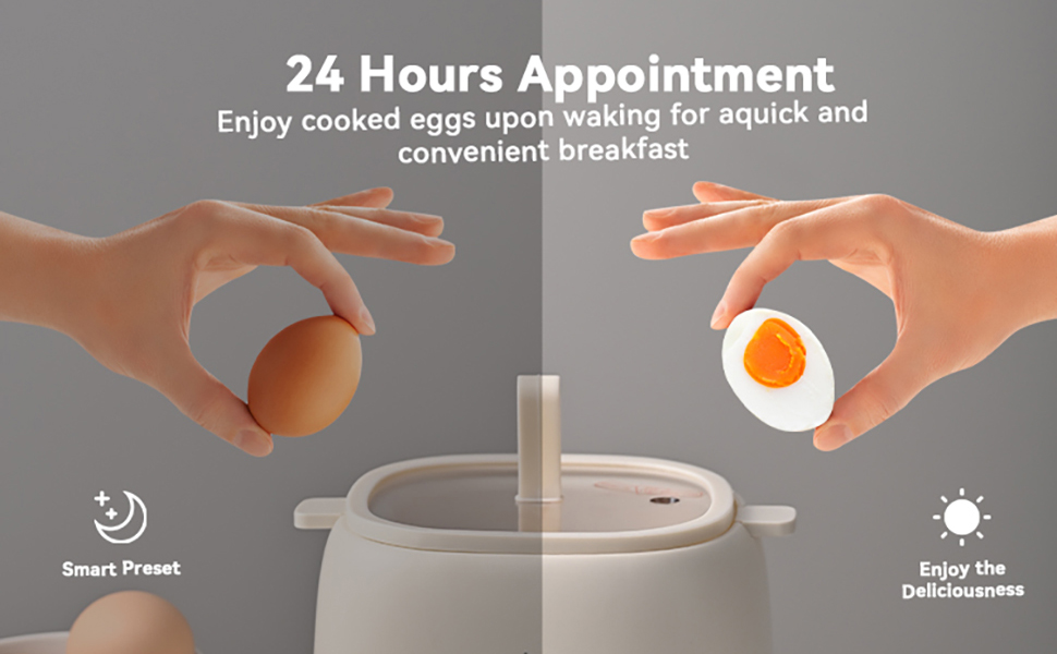 24 Hours Appointment