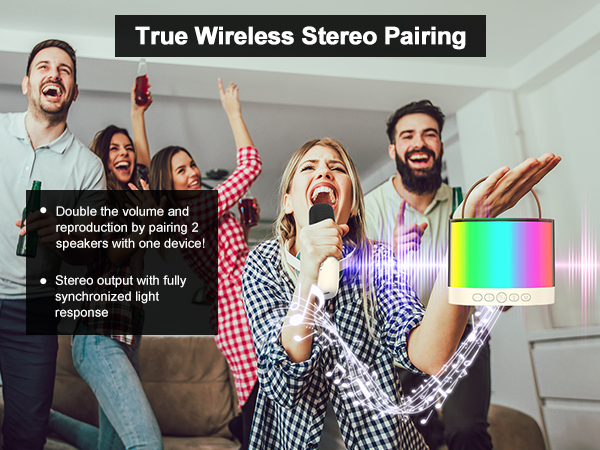 Mini Karaoke Machine, Bluetooth Karaoke Speaker with 2 Wireless Microphones