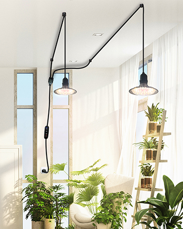 One light and two lights grow light