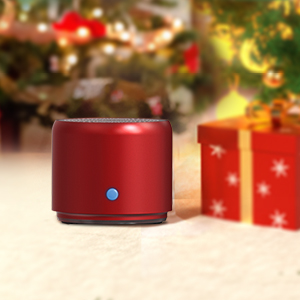 mini speaker