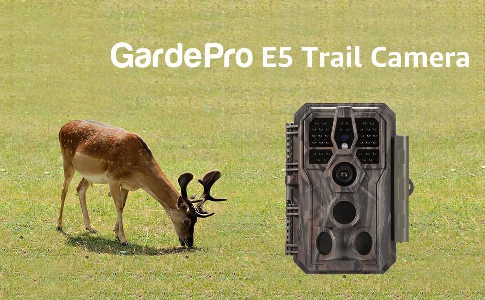 trail camera