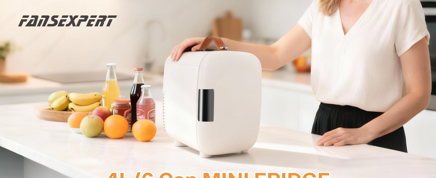 Mini Fridge