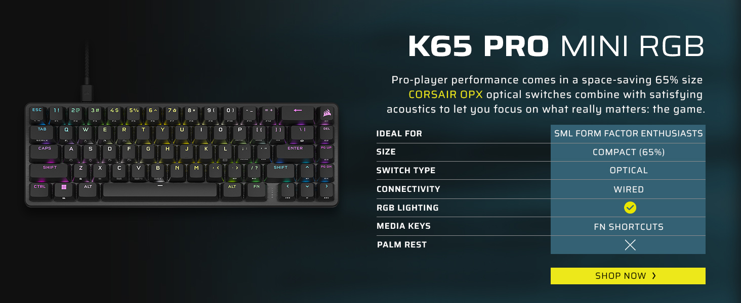 K70 CORE TKL Wireless 