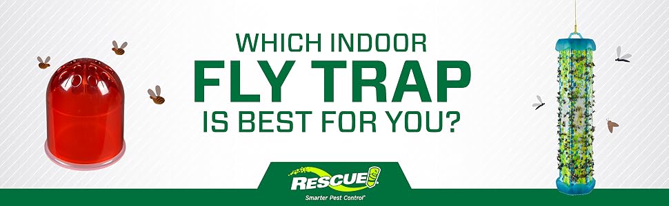 Which indoor fly trap is best for you?
