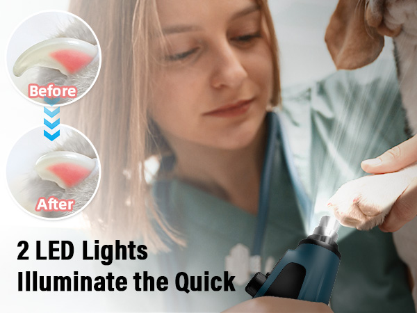 2 LED Lights