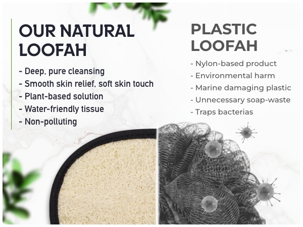 Loofah Pad