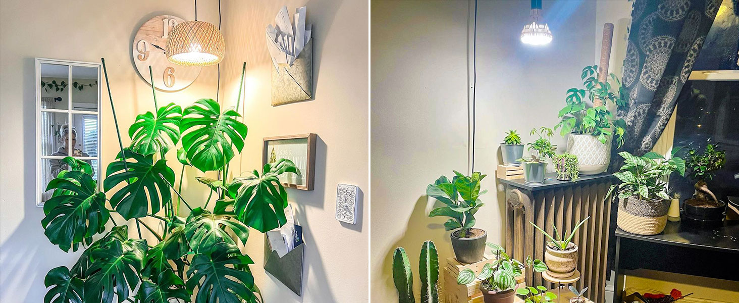 FULL SPECTRUM 36W GROW BULBS