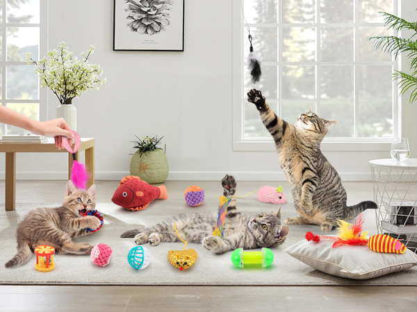 kitten toys