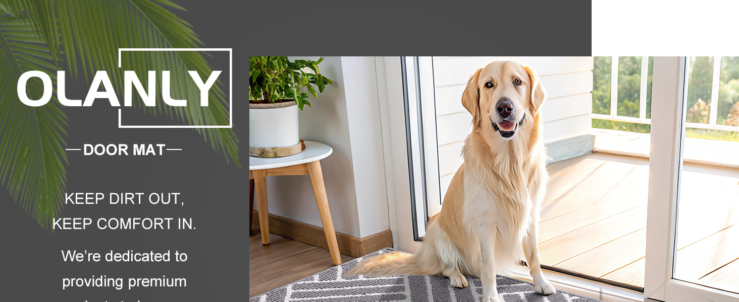 OLANLY door mat