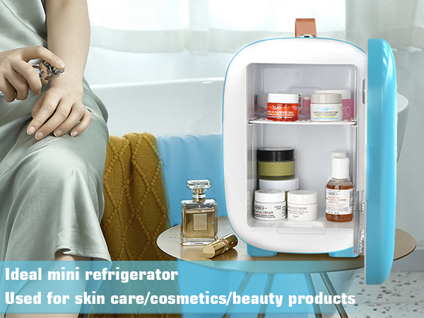 mini fridge for skin care