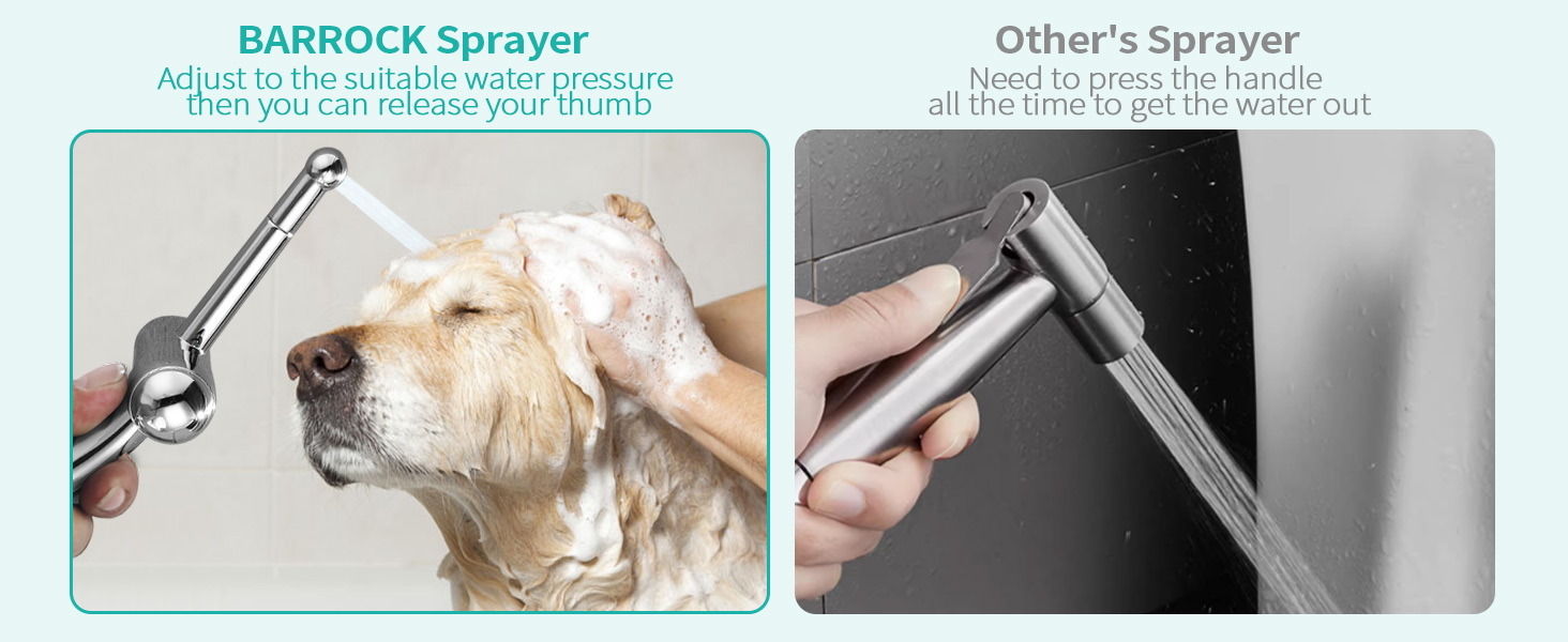 Hand Held Bidet Sprayer