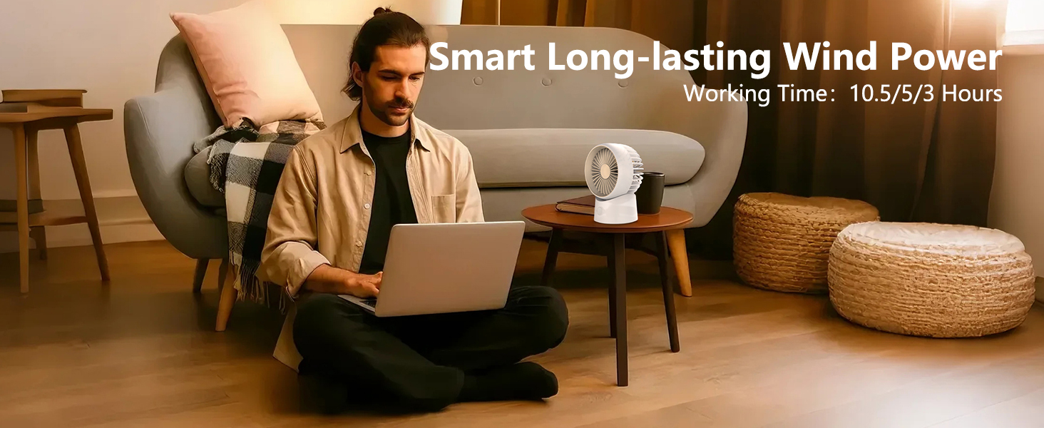 Mini Desktop Circulating Fan