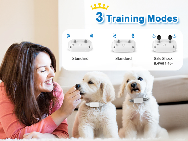 3 Training Modes