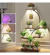 Yzosvki Plant Stand Indoor with Grow Lights, 7 Tiered Large Plant Shelf Flower Stand, Tall Plant ...