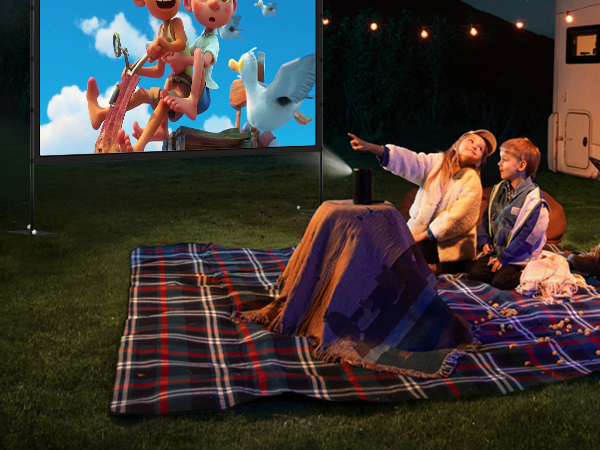 outdoor projector screen (2