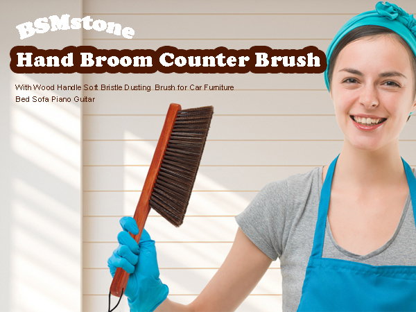 dust brush