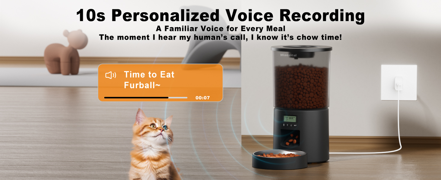 auto cat feeder dry food