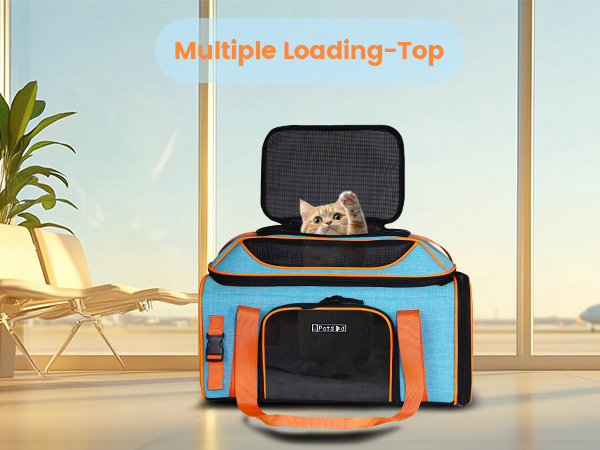 Multiple Loading-Top