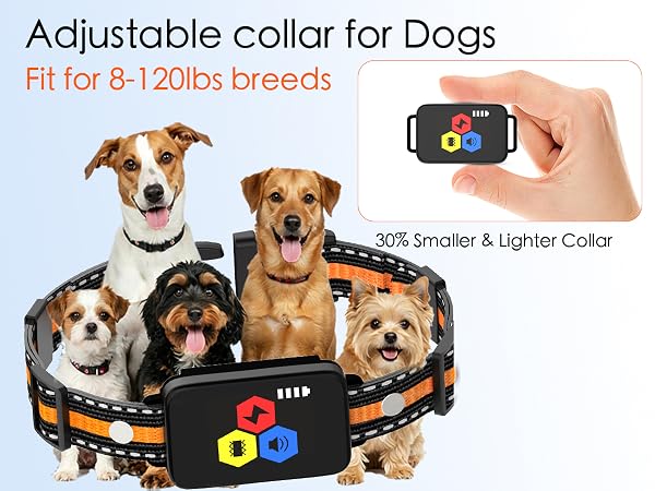 dog training collar