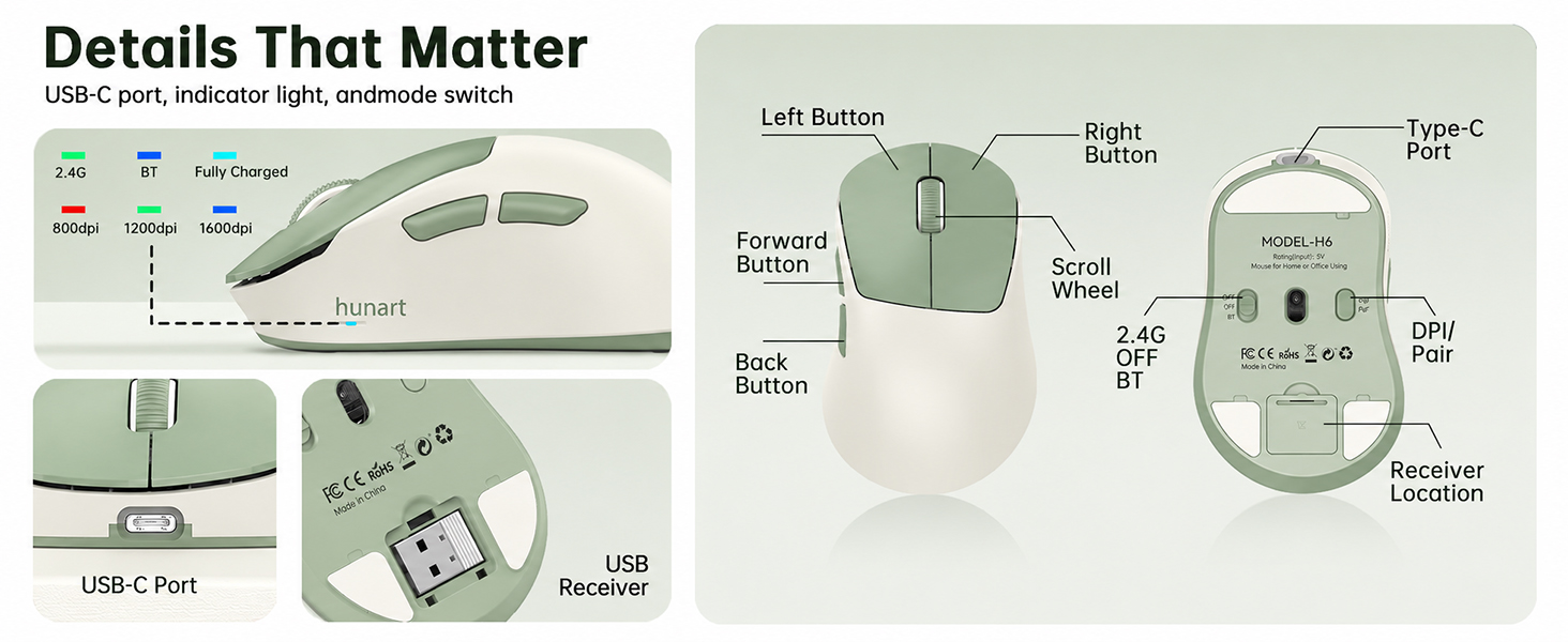 H6 Mouse