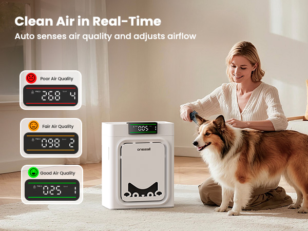 pet hair air purifiers for home
