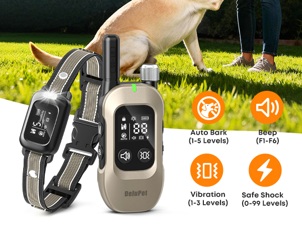 dog training collar with remote
