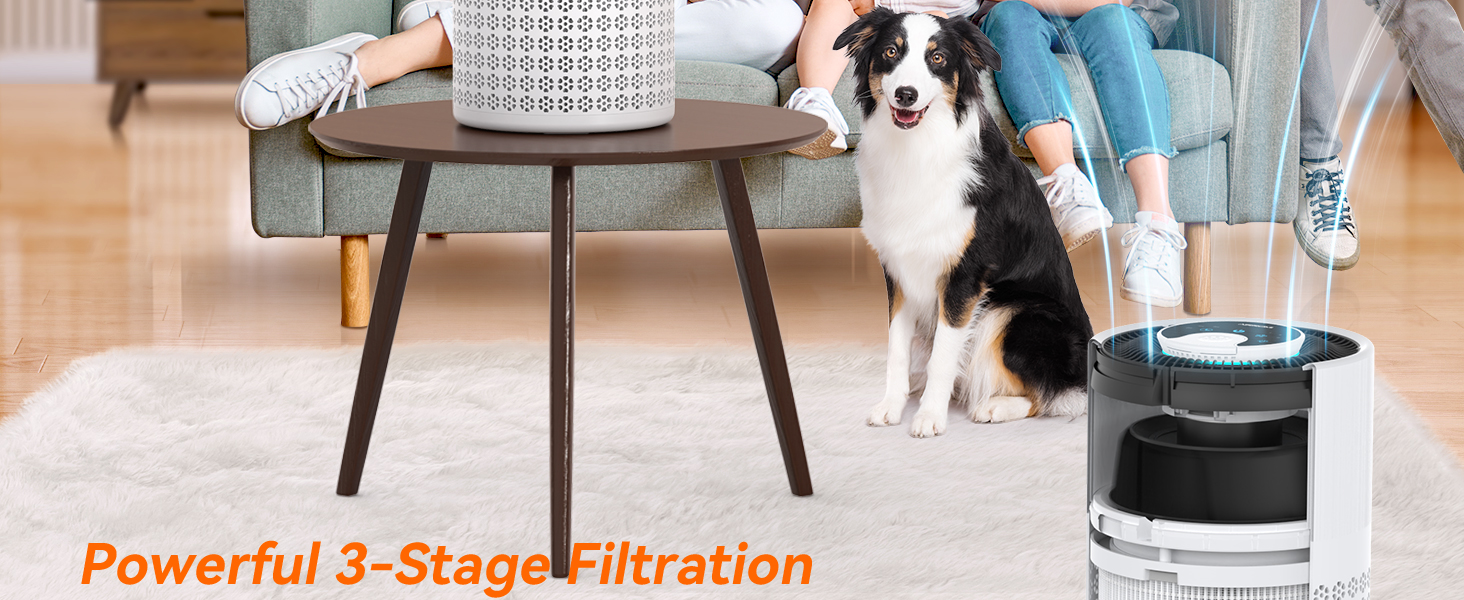 air purifiers for home pets
