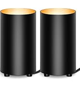 SUNVIE 2 Pack Uplighting Indoor Floor Can Light Accent Lights for Indoor Use, Up Lights Indoor Sp...