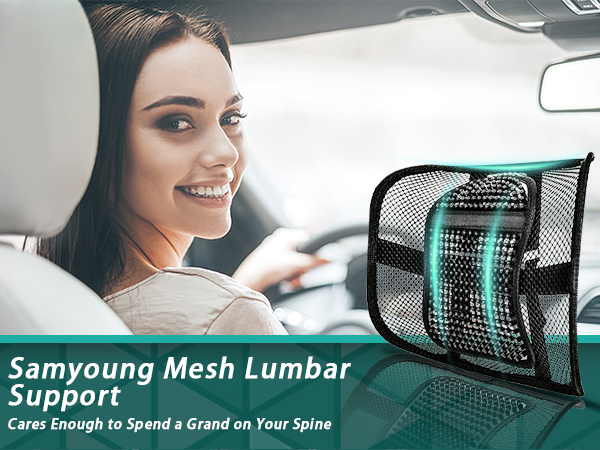mesh lumbar support
