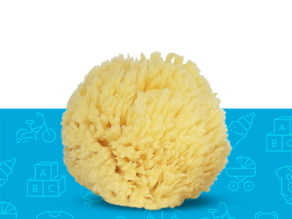 wool sea sponge