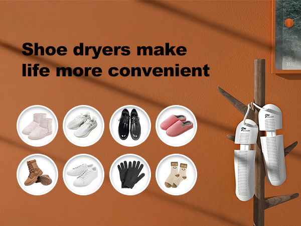 Shoe dryer