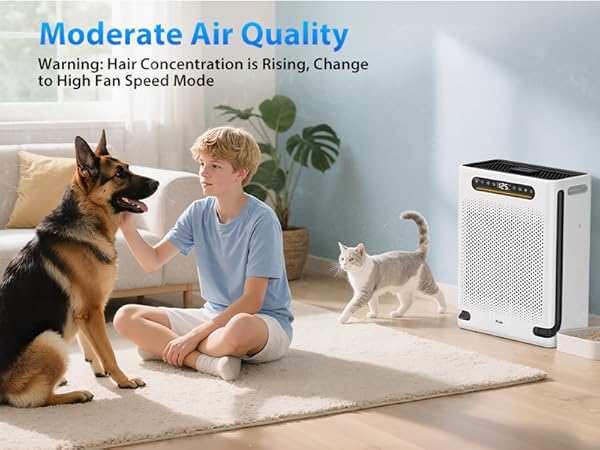 pet air purifier