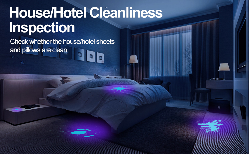 house hotel cleanliness inspection