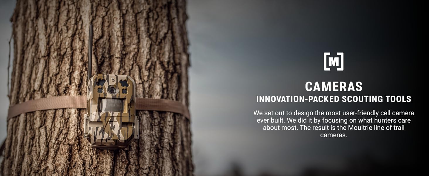 Moultrie trail camera on tree, showcasing durable scouting technology.