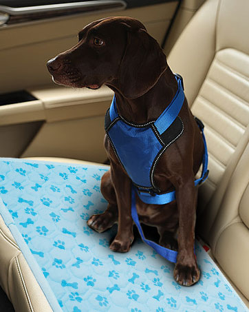 cooling mat for dogs