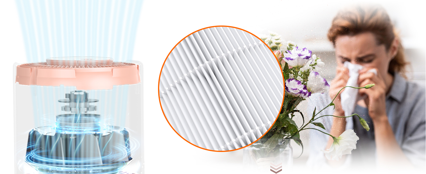 air purifiers for home