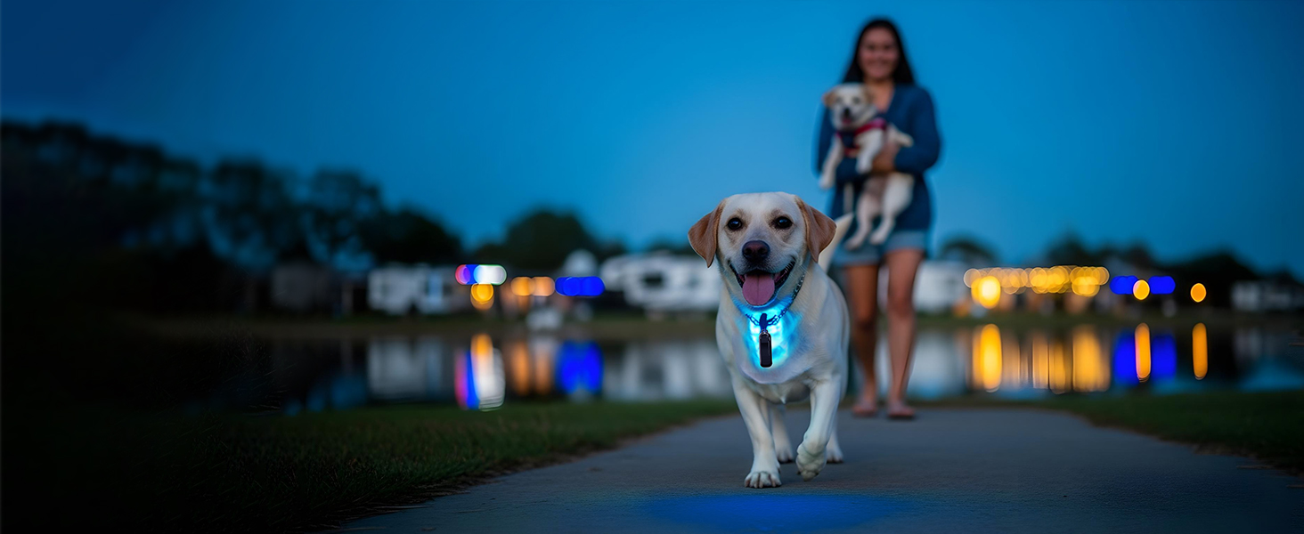 Nighttime outdoor scene with illuminated cityscape reflecting on water in background, figure shown using bright handheld light.