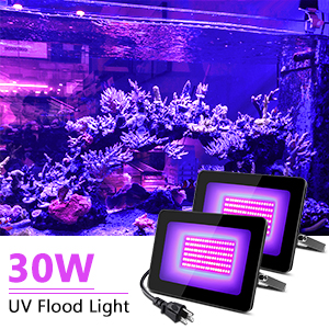 Outstanding UV Black Flood Light