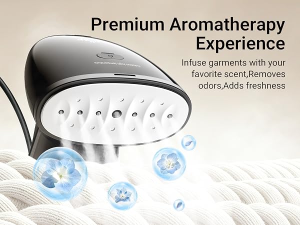 Bear Steamer for Clothes
