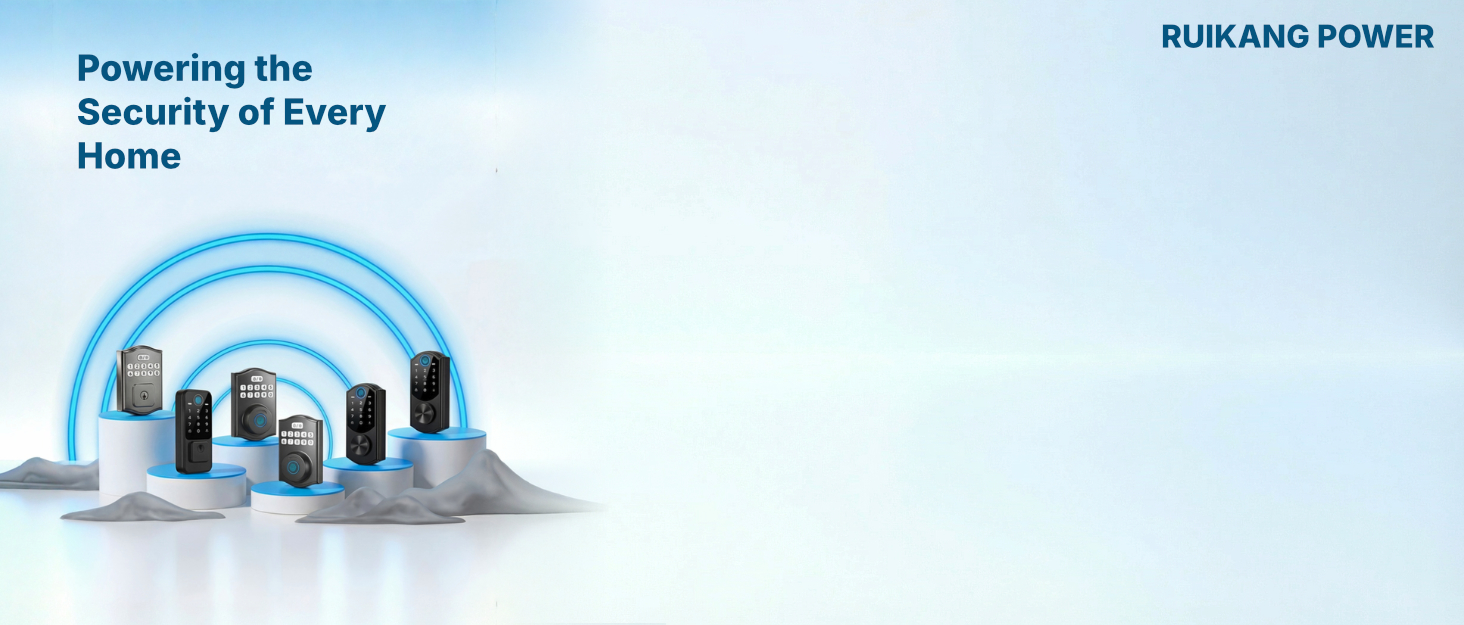 Keyless entry door lock